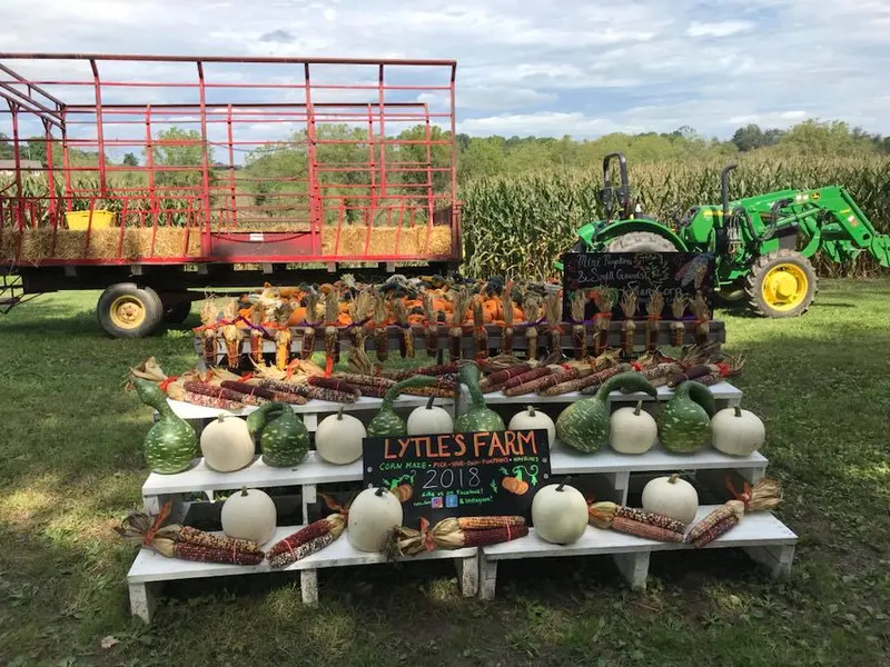 Lytle's Corn Maze, Pumpkin Patch and Farm