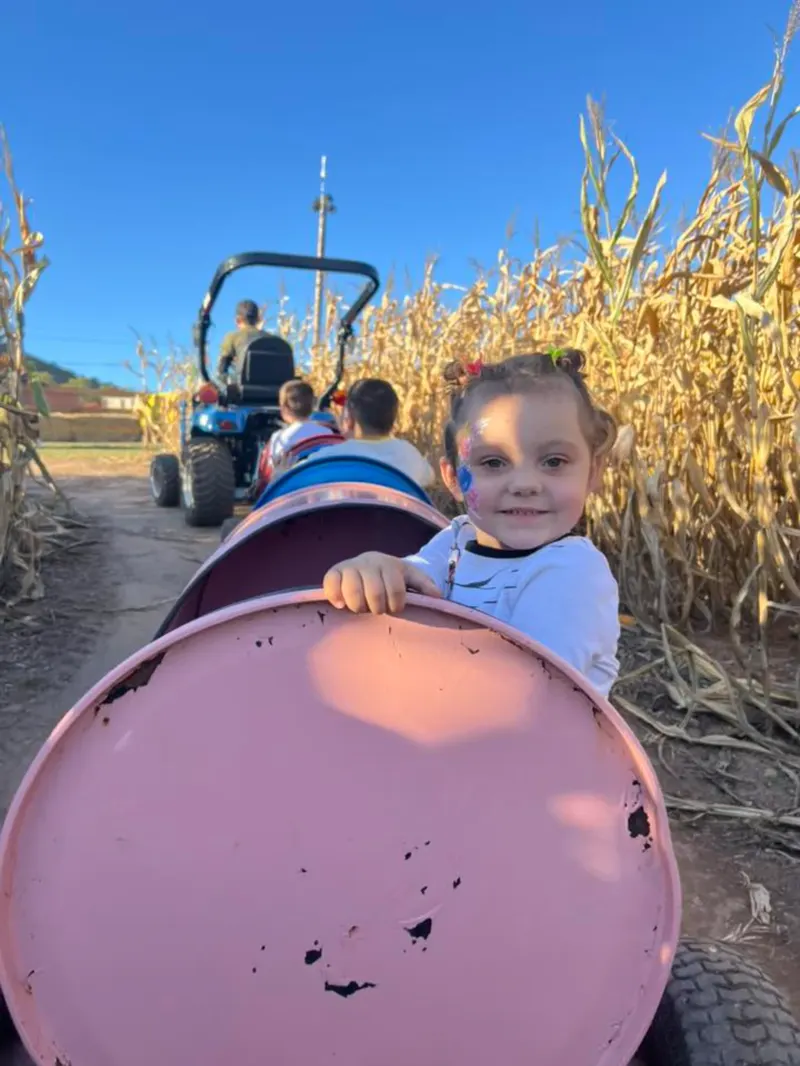 Mitchell Farms photo