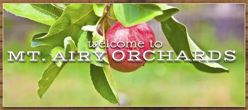 Paulus Mt. Airy Orchards