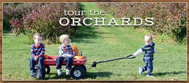 Paulus Mt. Airy Orchards photo