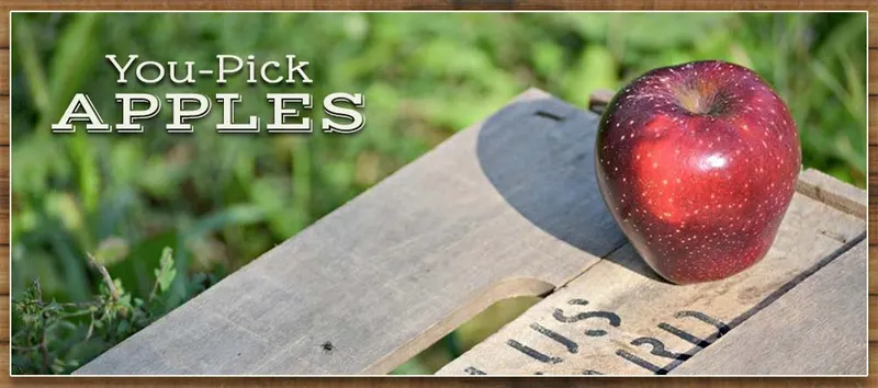 Paulus Mt. Airy Orchards photo