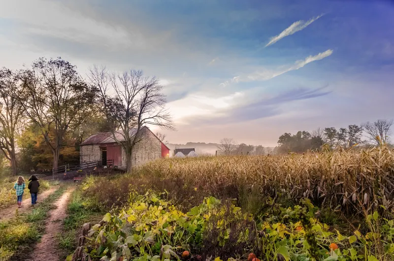 Savidge Farms