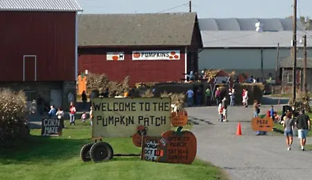 Seiple Farms