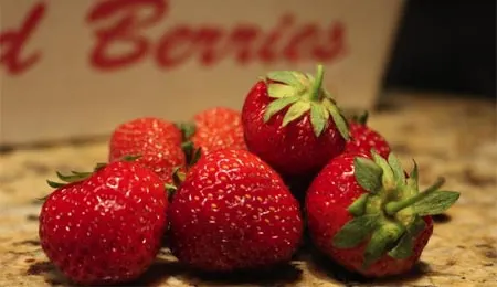 Seiple Farms photo