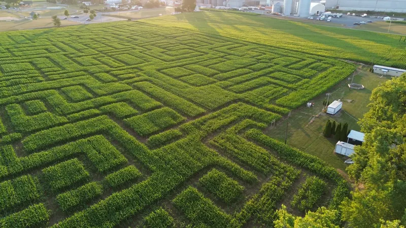 Seyfert's Corn Maze photo