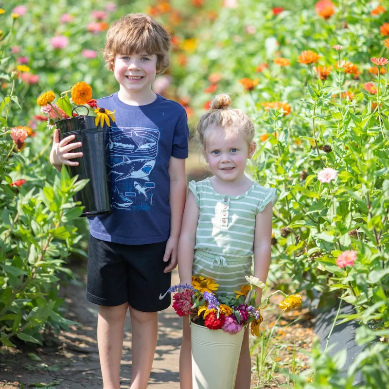 Shady Brook Farm photo