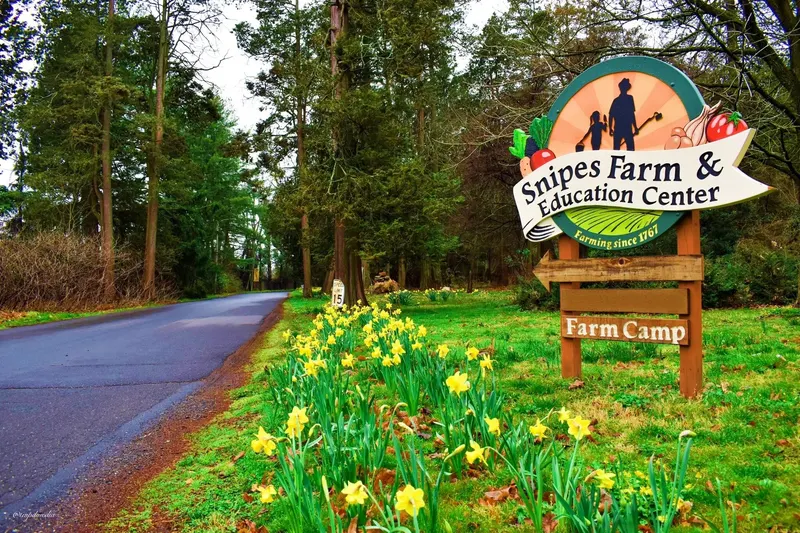 Snipes Farm photo