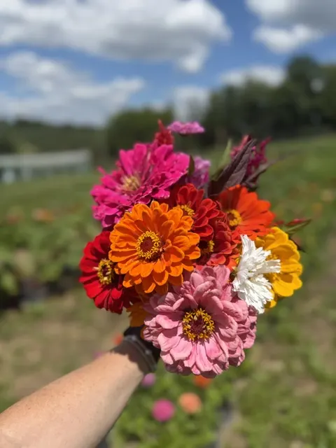 Soergel Orchards photo
