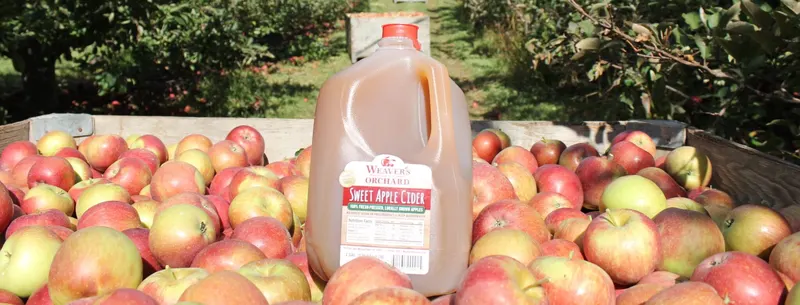 Weaver's Orchard, Inc.