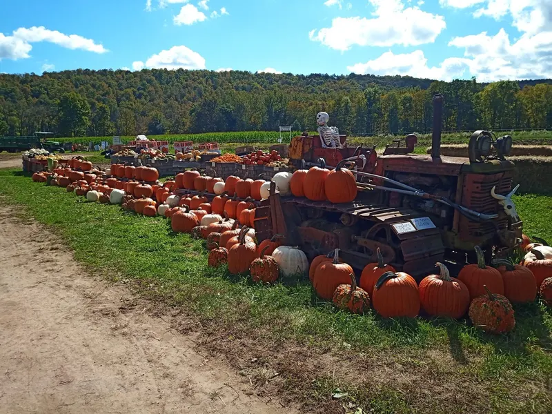 Whistle Pig Farm
