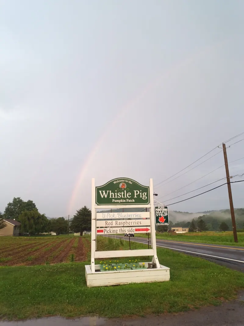 Whistle Pig Farm photo