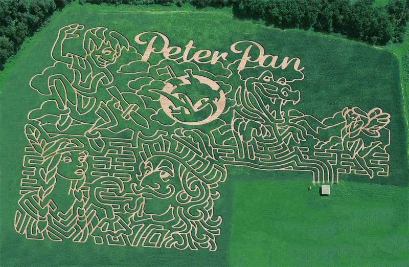 Wilcox Farms Corn Maze & Haunted Maze photo
