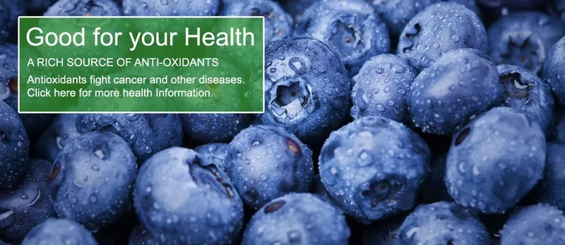 Alexander Blueberry Farms