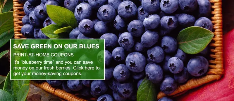 Alexander Blueberry Farms photo