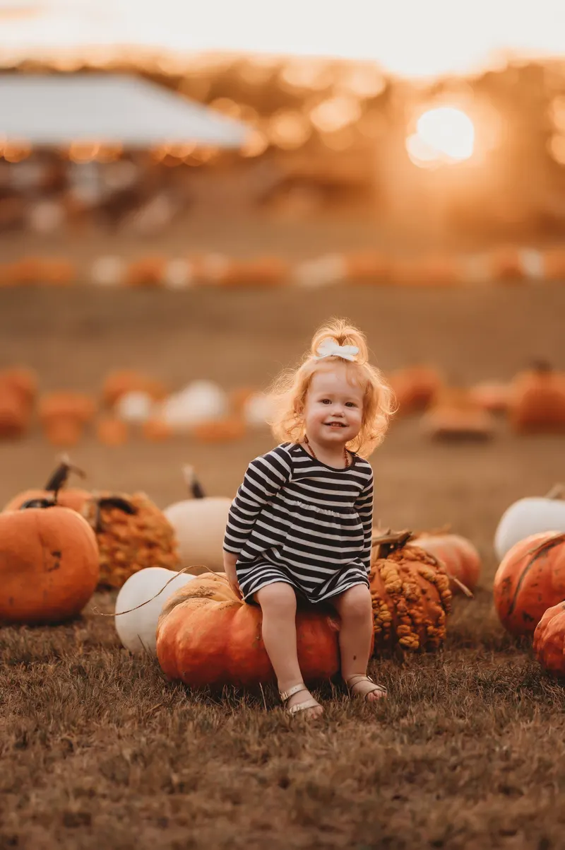 Barton Farms Pumpkin Patch & Farm to Porch Pumpkins photo