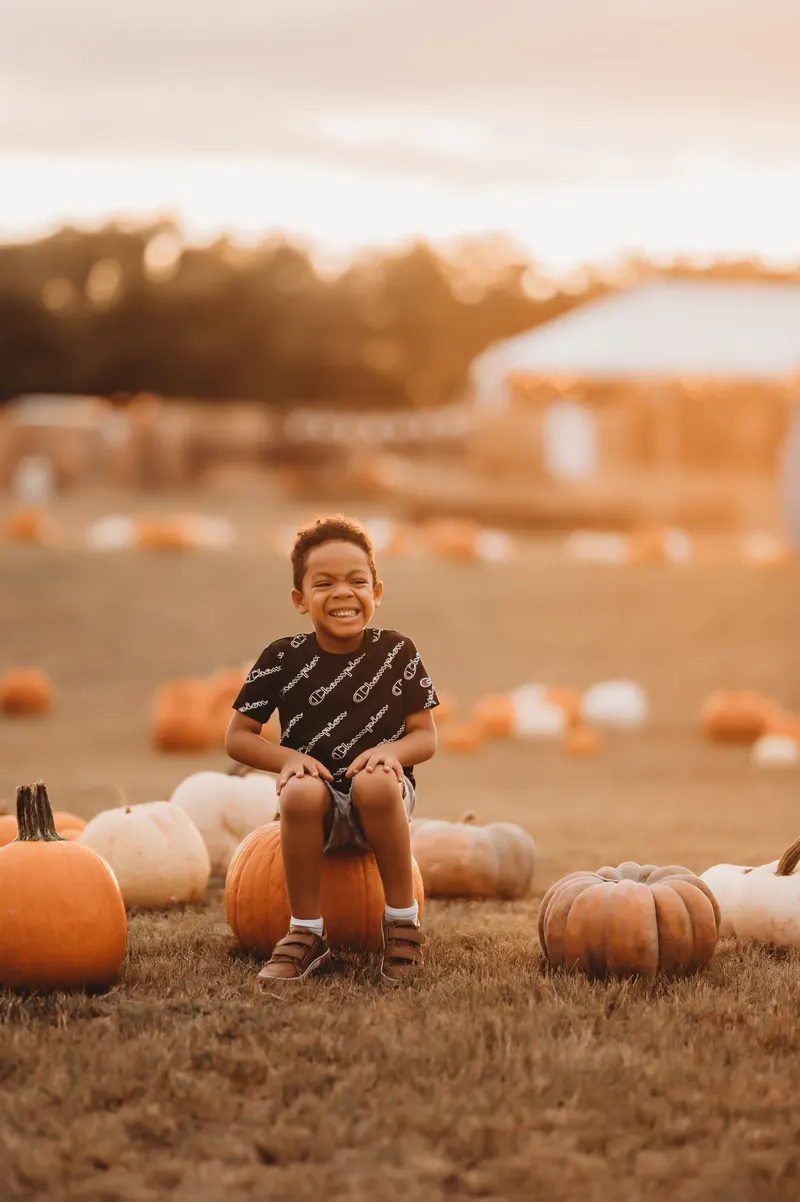 Barton Farms Pumpkin Patch & Farm to Porch Pumpkins photo