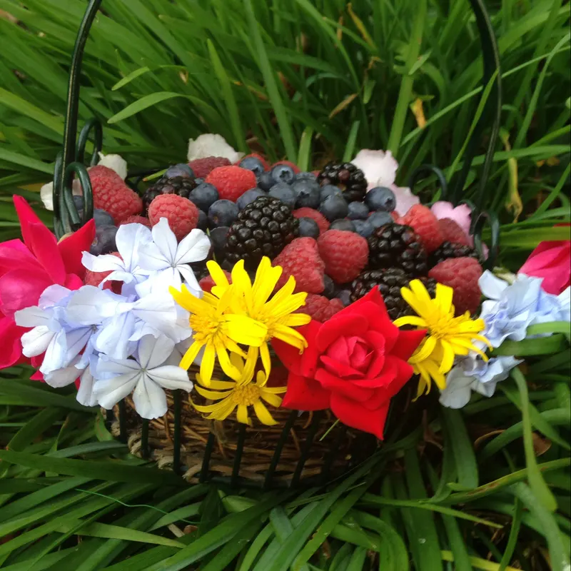 Blakelock's Berries photo