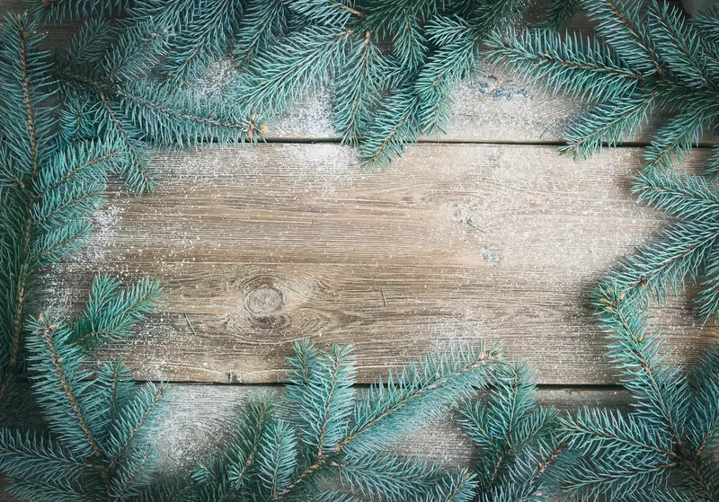 Bois D'Arc Christmas Tree Farm