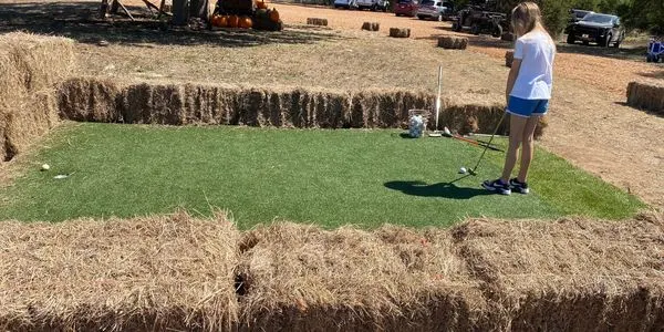 Bulverde Pumpkin Patch photo