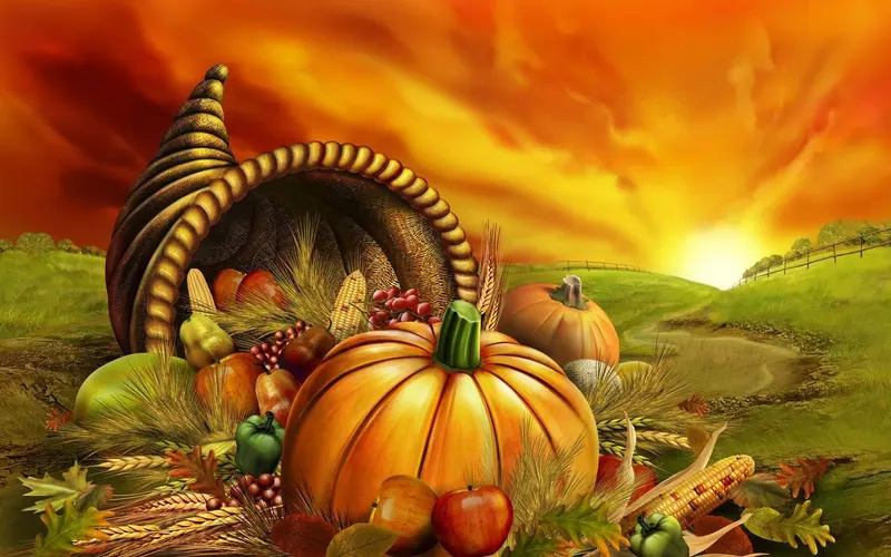 Calie's Acre Pumpkin Patch