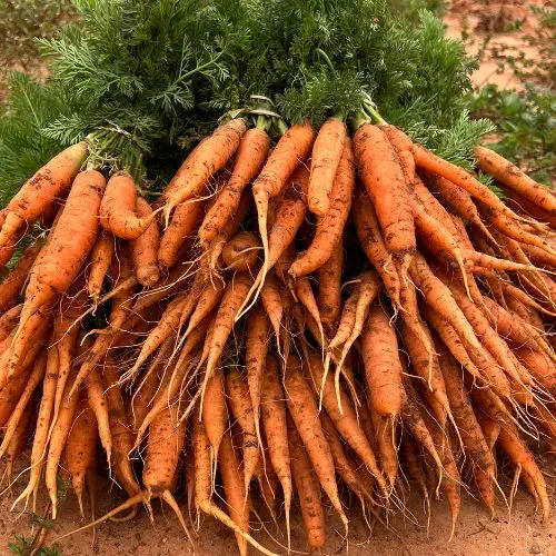 Demases Farm photo