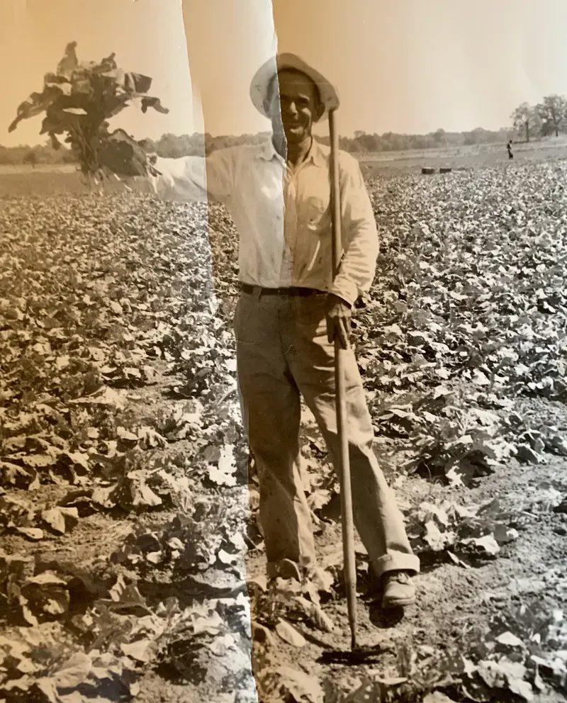 Demases Farm photo