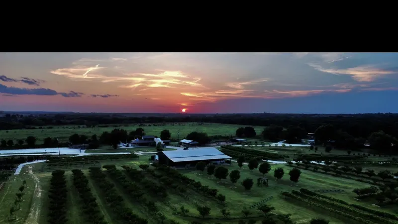 Denton Valley Farms