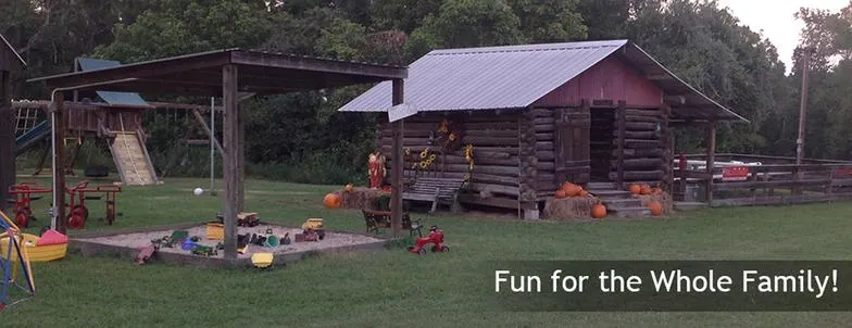 Double Creek Christmas Tree Farm photo