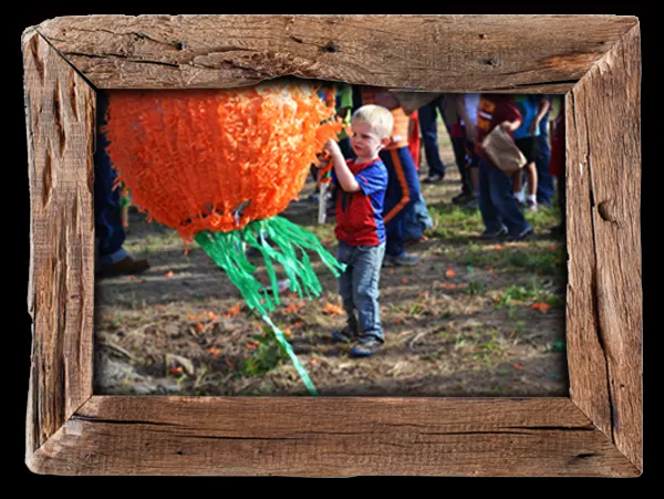El Paso's Cornmaze Pumpkin Patch and More! photo