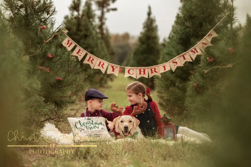 Holiday Acres Christmas Tree Farm