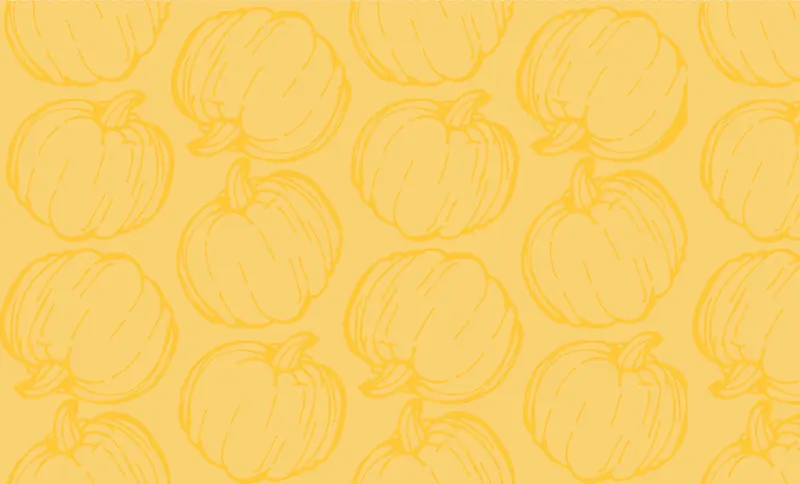 Jacksboro Pumpkin Patch photo