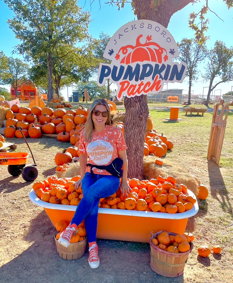 Jacksboro Pumpkin Patch photo