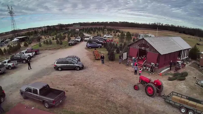 KaJiN Christmas Tree Farm