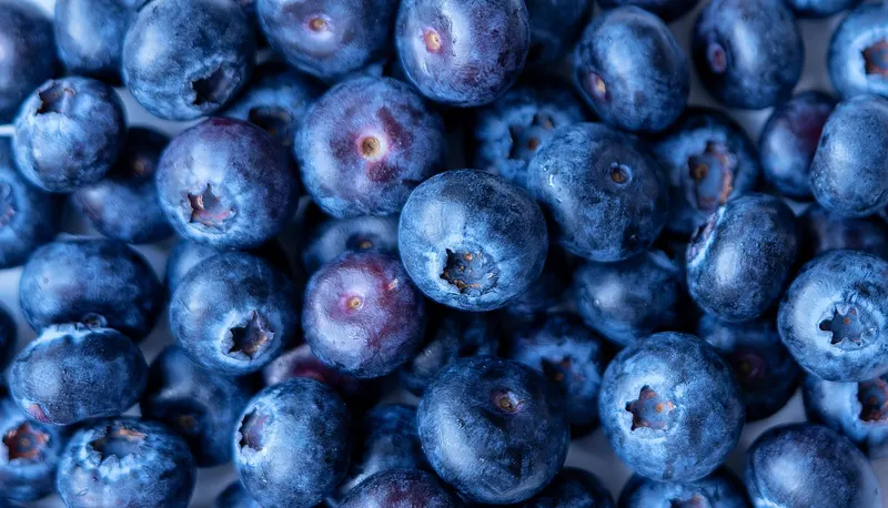 Kiomatia Blueberry Farm