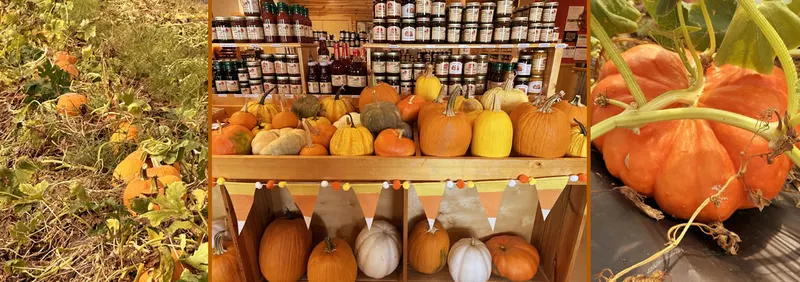 Panola Orchard & Gardens photo