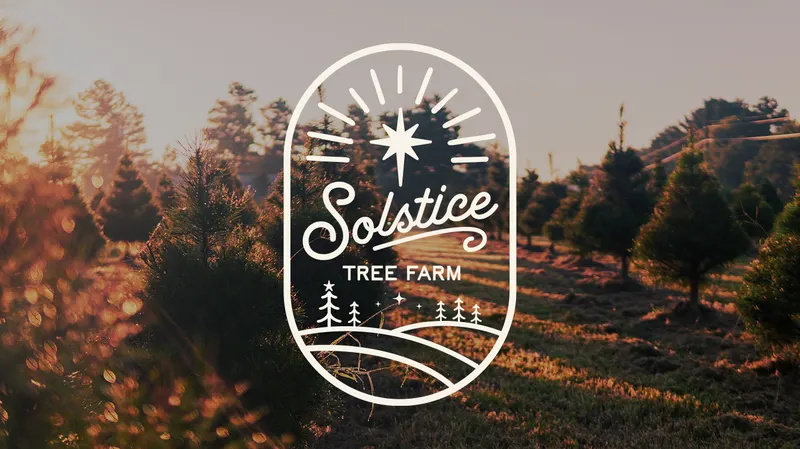 Solstice Tree Farm