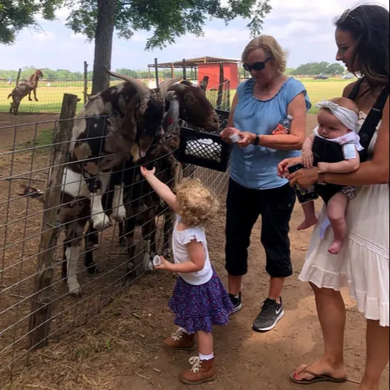 Sweet Berry Farm photo