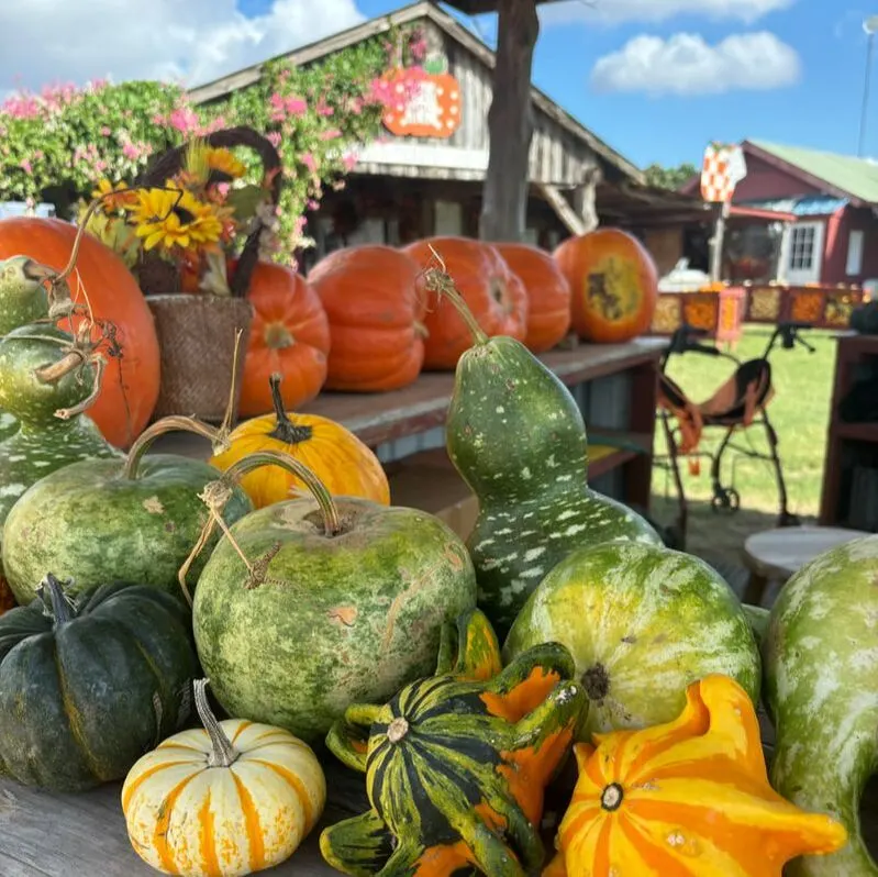 Sweet Berry Farm photo
