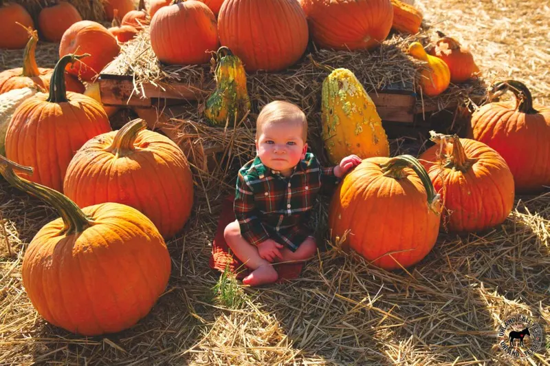 Uhland Fall Fest