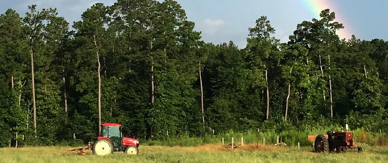 Wood Duck Farm photo